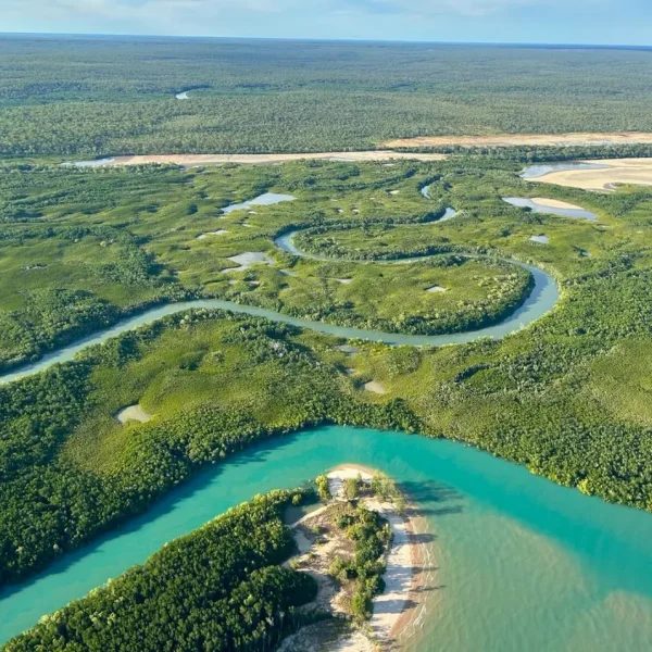 best darwin tours