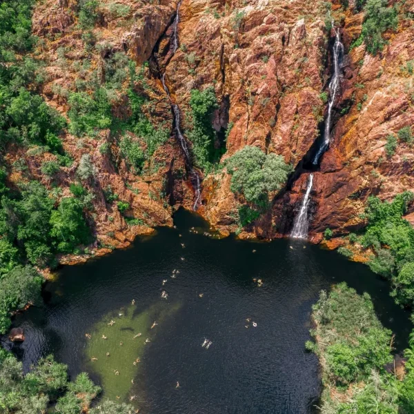 darwin day tour