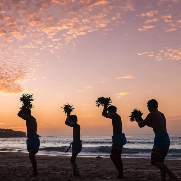 day trips from darwin